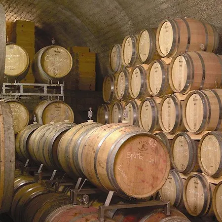 Schwarzer Adler 4* Vogtsburg