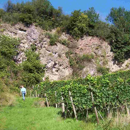 Otel Schwarzer Adler 4*