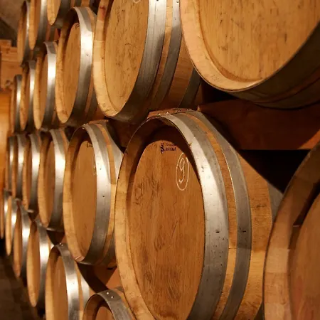 Otel Schwarzer Adler 4*