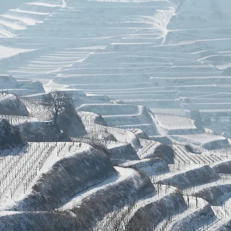 Otel Schwarzer Adler 4*