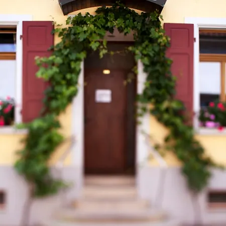 Otel Schwarzer Adler