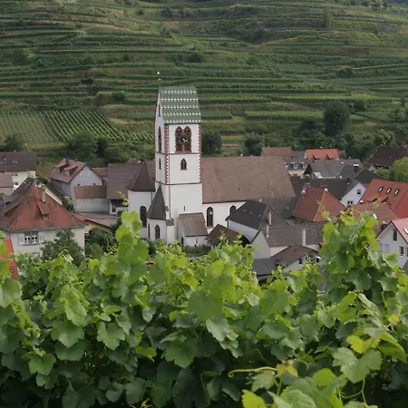 Otel Schwarzer Adler Vogtsburg