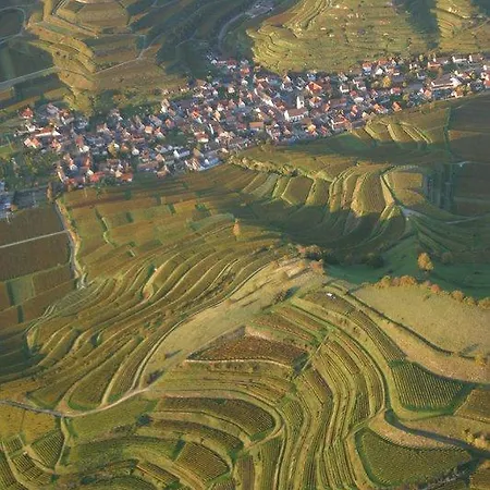 Otel Schwarzer Adler 4*