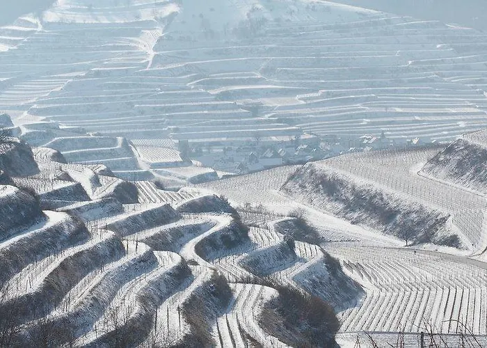 Hotel Schwarzer Adler 4*