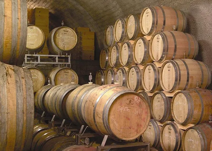 Schwarzer Adler 4* Vogtsburg