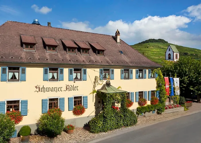 Hotel Schwarzer Adler Vogtsburg