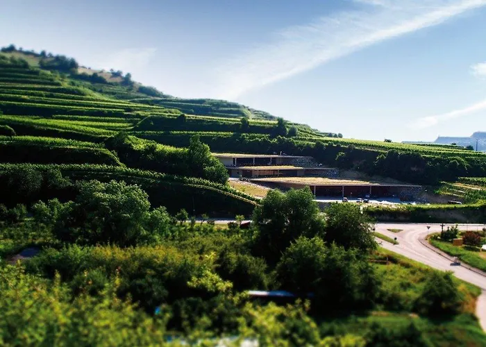 Hotel Schwarzer Adler