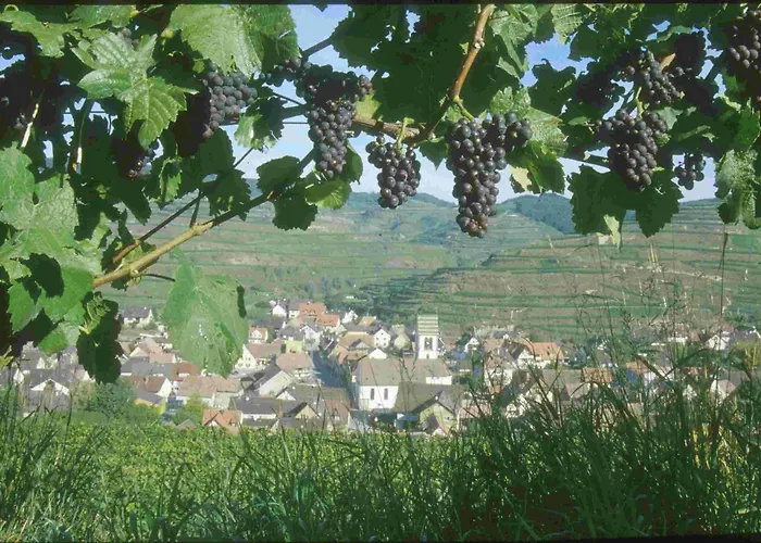 Hotel Schwarzer Adler