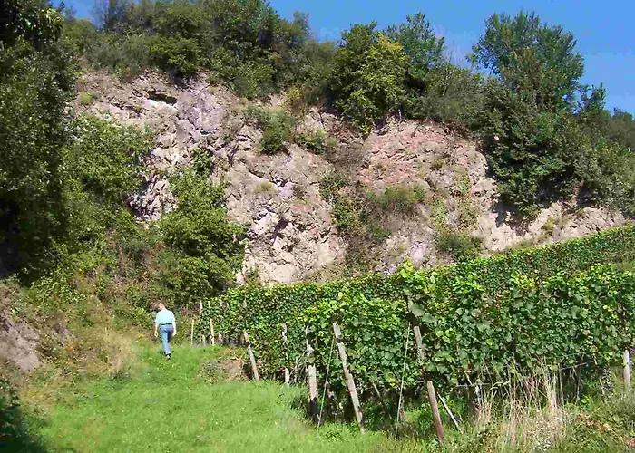 Hotel Schwarzer Adler 4*