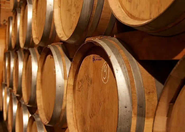 Hotel Schwarzer Adler 4*