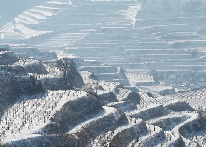 Hotel Schwarzer Adler 4*