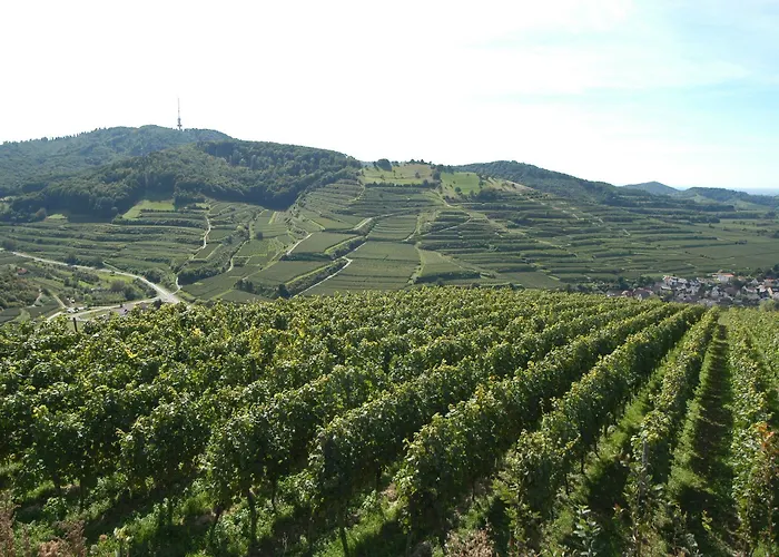 Hotel Schwarzer Adler Vogtsburg