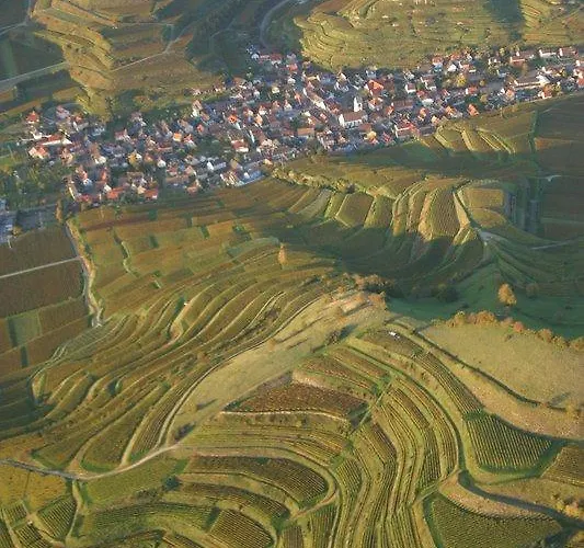 Hotel Schwarzer Adler 4*